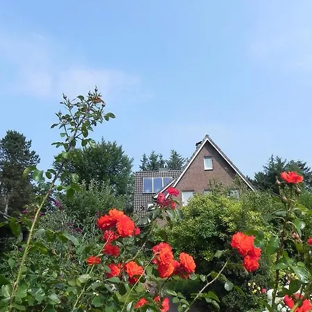 Haus *ueues Aran* Nr. 7 Apartment